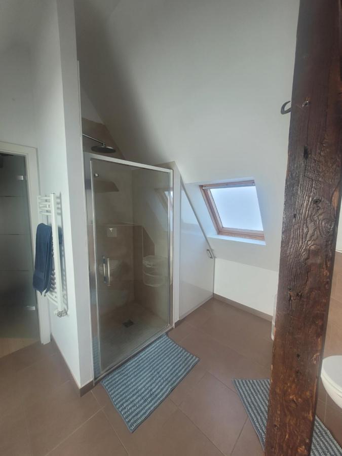 Studio 50M2 Au Bord De L'Eau A Strasbourg Kültér fotó