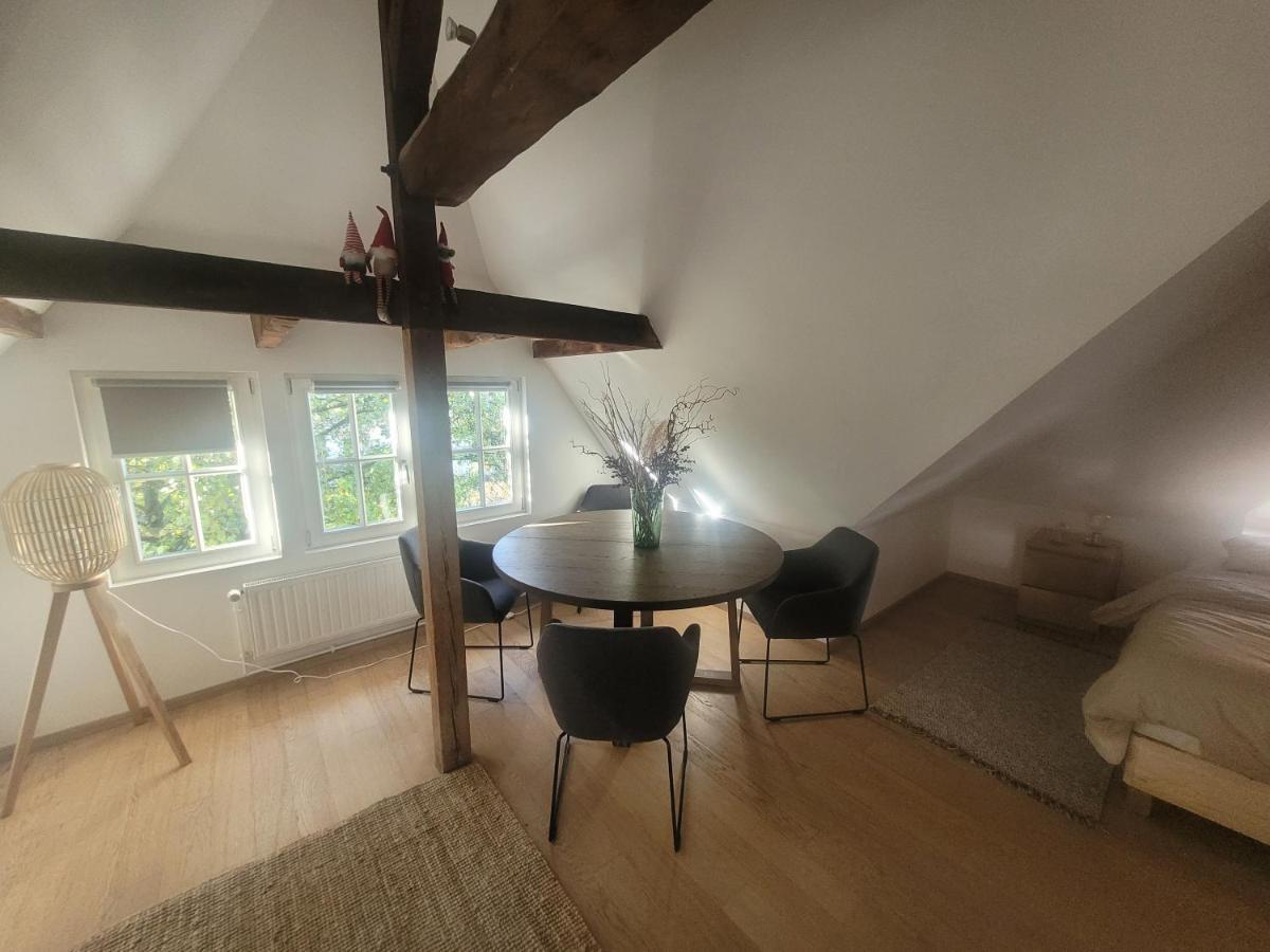 Studio 50M2 Au Bord De L'Eau A Strasbourg Kültér fotó