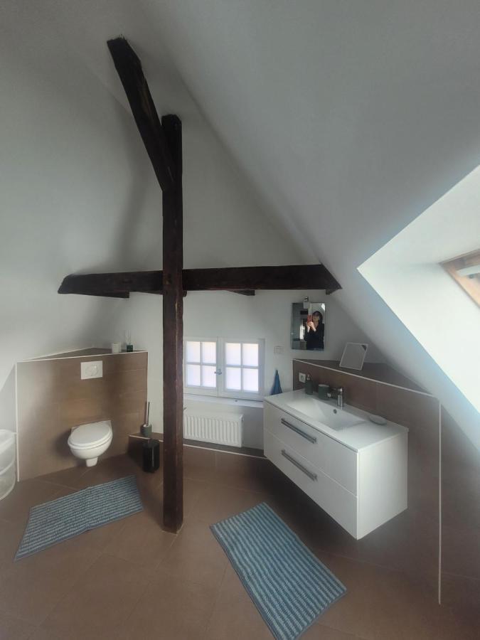 Studio 50M2 Au Bord De L'Eau A Strasbourg Kültér fotó