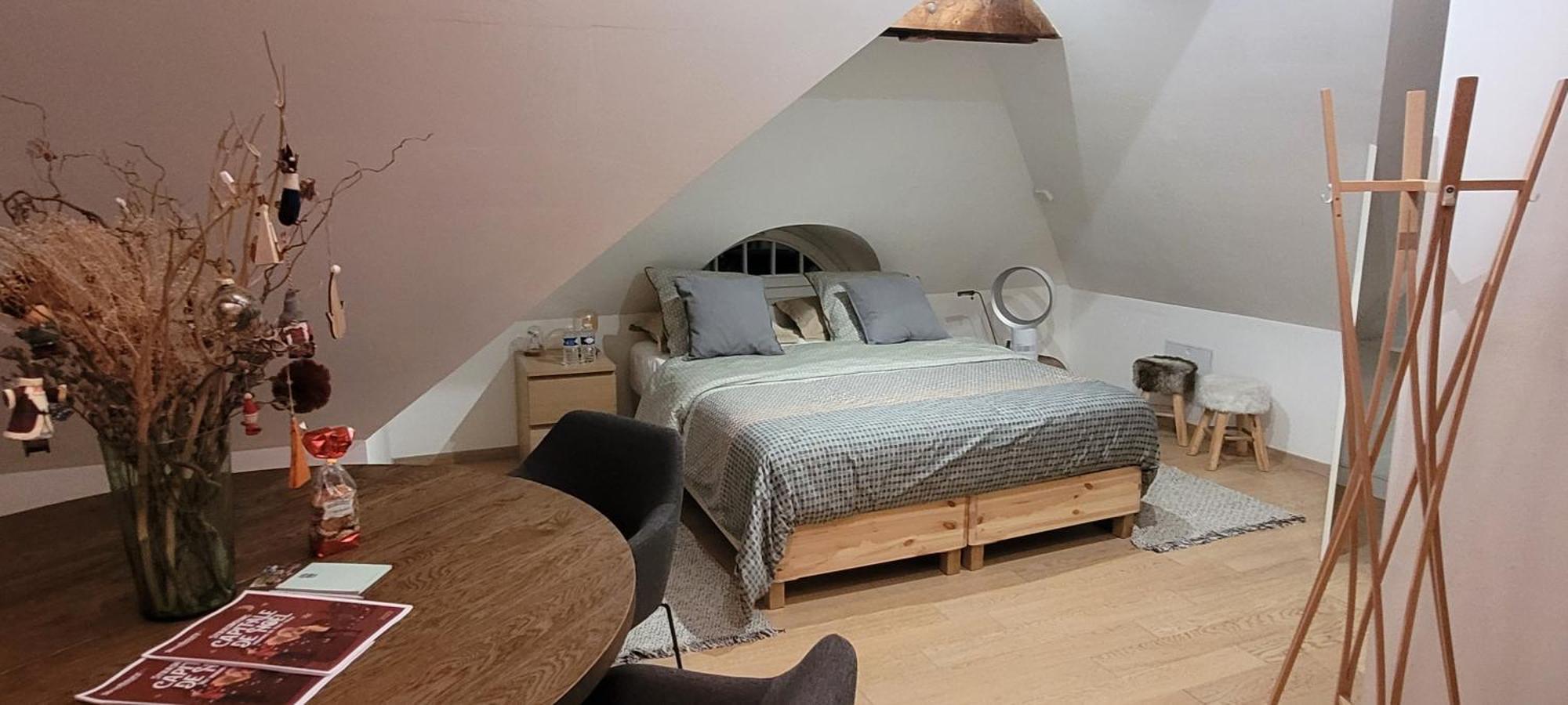 Studio 50M2 Au Bord De L'Eau A Strasbourg Kültér fotó